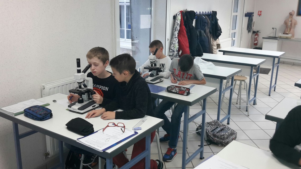 20151201_142207_resized